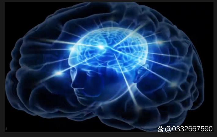 深圳程序员猝死事件持续发酵，互联网大厂加班文化再遭质疑